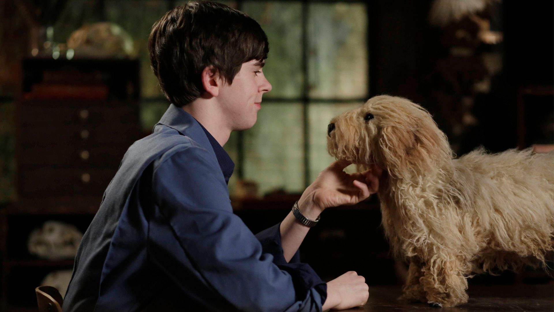 Ein Junge und sein Hund