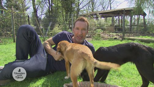 Haustier sucht Herz Staffel 2 Folge 4: Folge 4