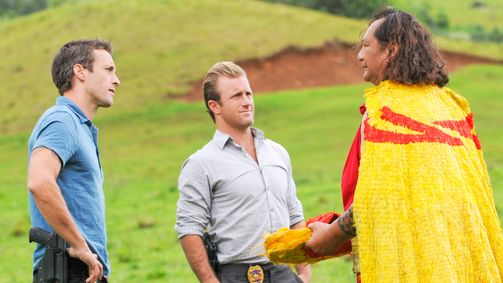 Hawaii Five-0 Hawaii Five-0 Folge 17: Sinneswandel
