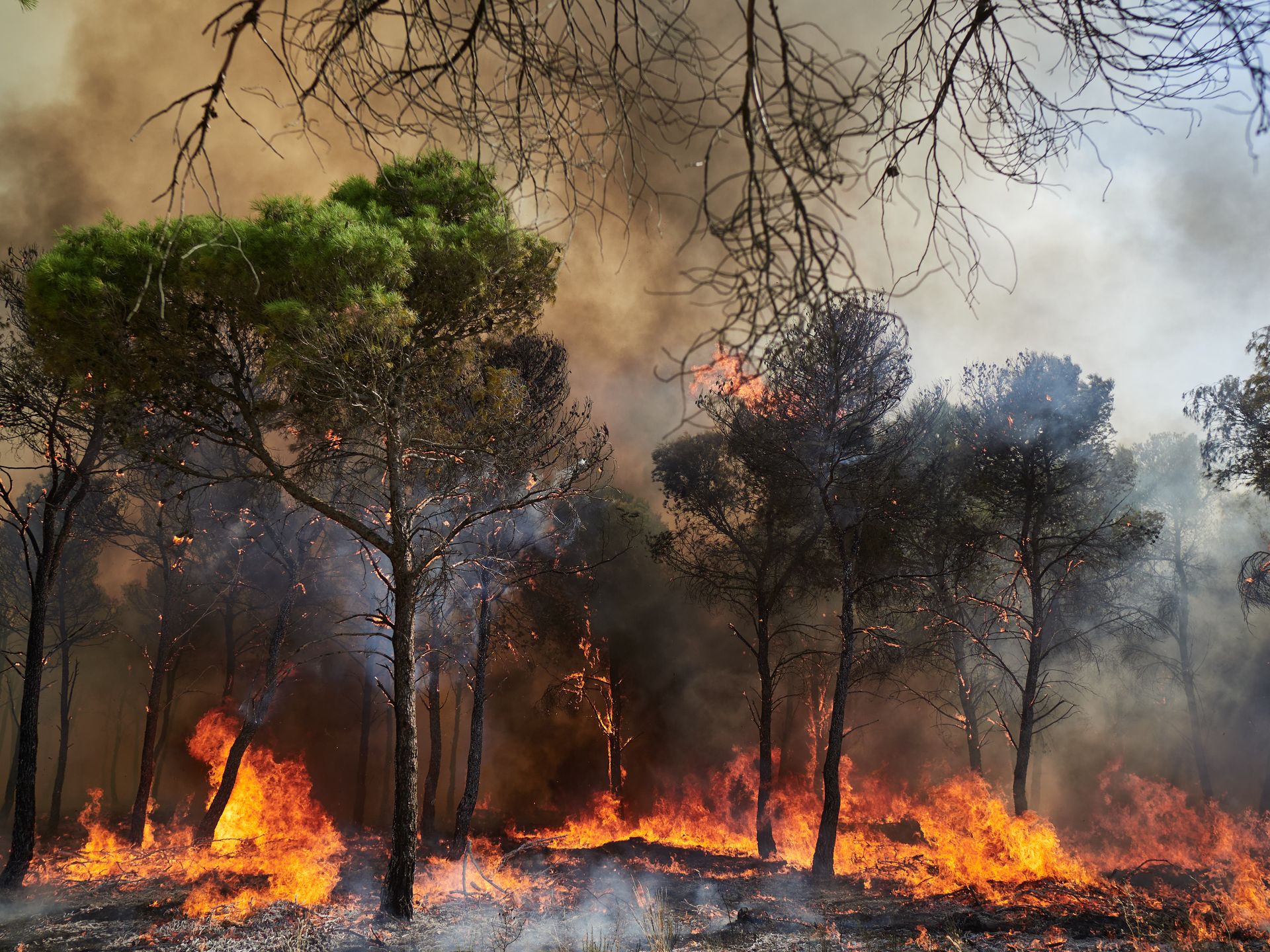 Spanien im Würgegriff von Waldbränden
