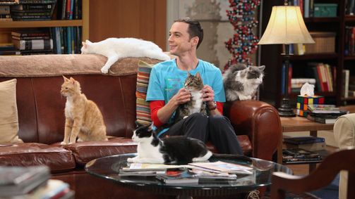 The Big Bang Theory The Big Bang Theory Folge 3: Paradoxe Psychologie