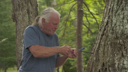 Die Schatzsucher von Oak Island Die Schatzsucher von Oak Island Folge 13: An der Goldader