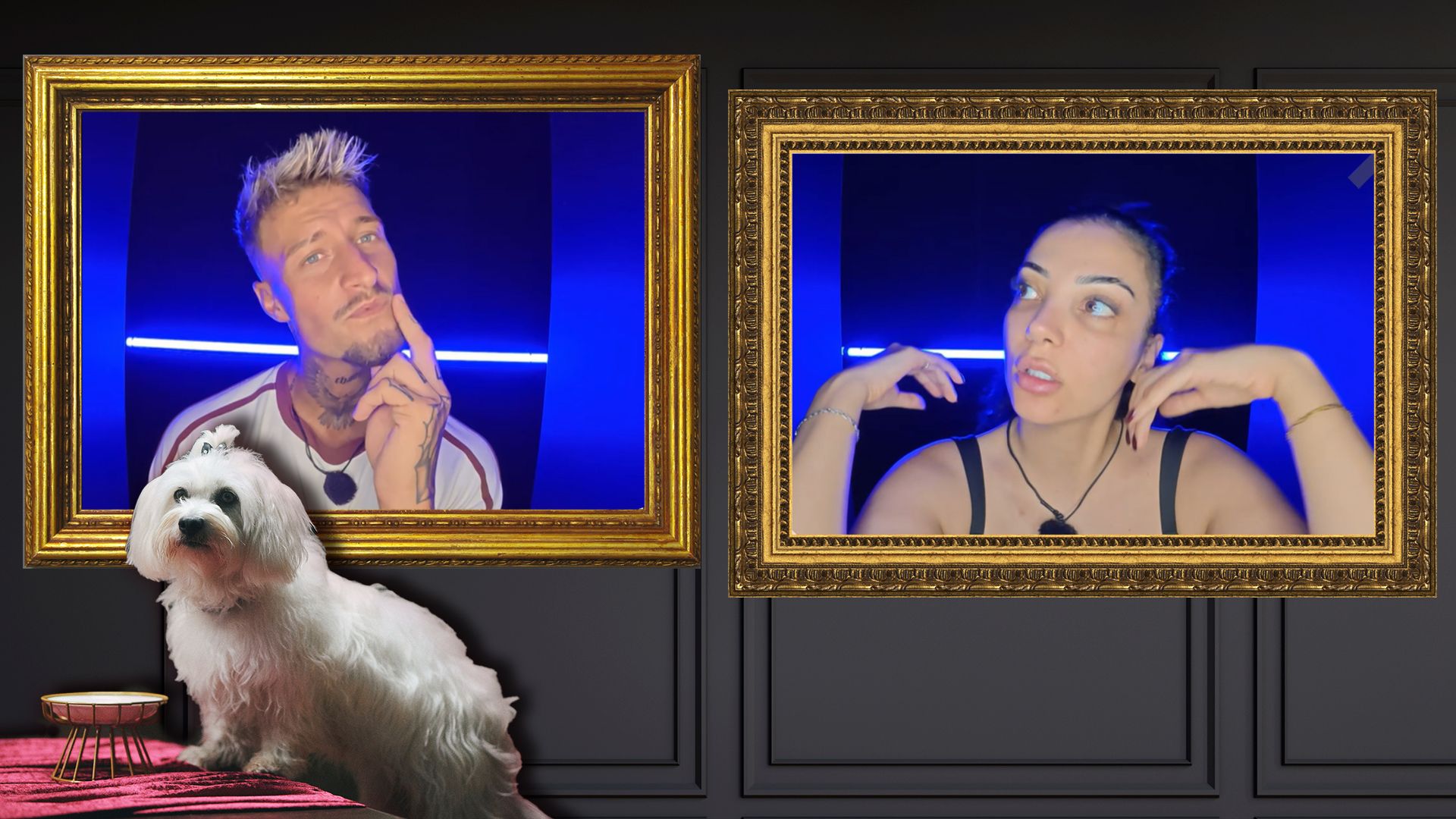 Der Blackroom entscheidet: Wer muss gehen?