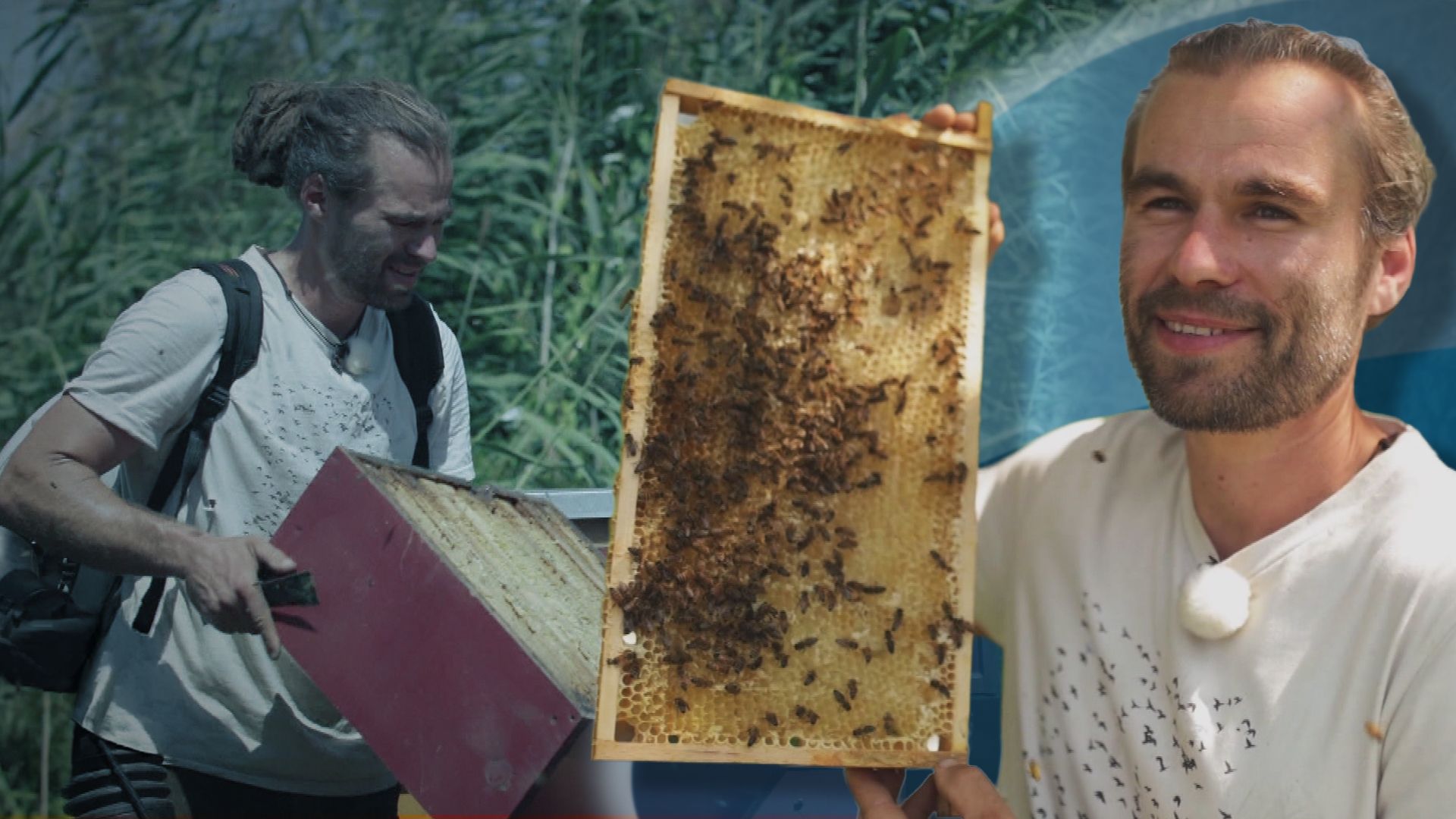 Bienenstiche und Tatortspuren: Wie viel verdienen Imker und Kommissarin?