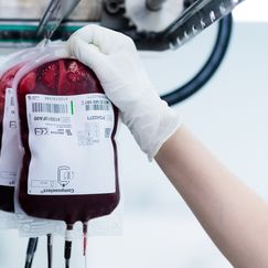 Immer weniger Blutspenden in Deutschland