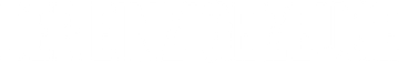 Der einzige Zeuge