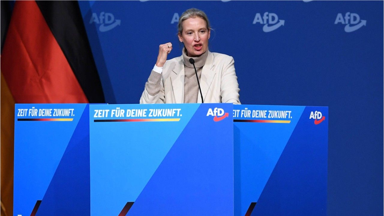 Umfrage: AfD wieder auf Rekordhoch