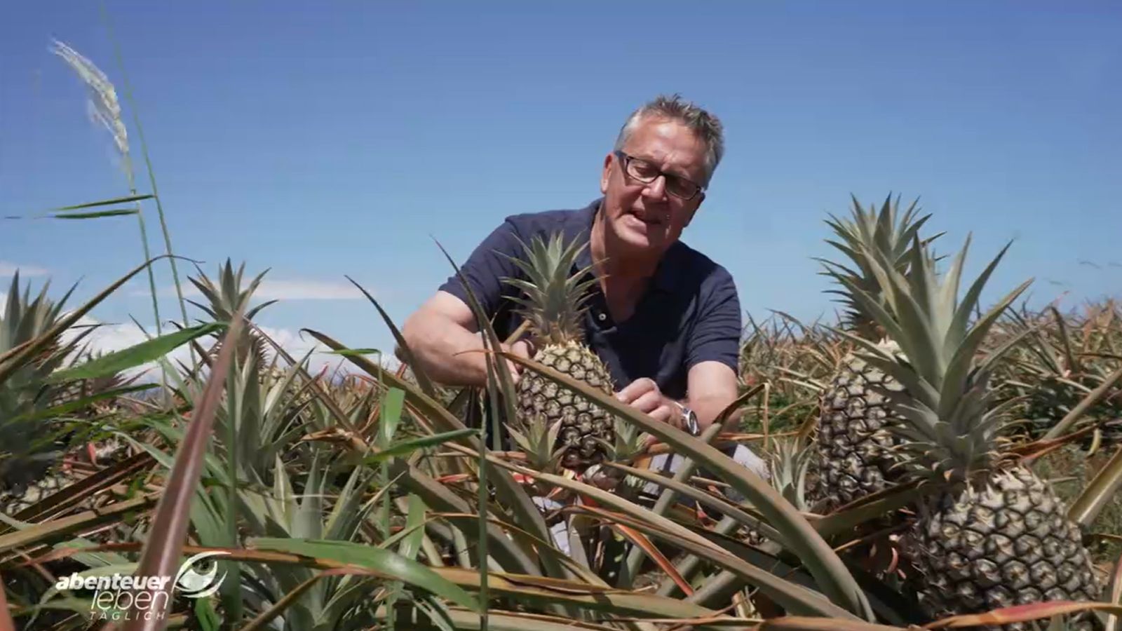 Hoffmann on Tour auf Hawaii