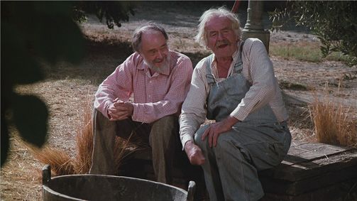 Die Waltons Die Waltons Folge 14: Das Herz gibt nie auf