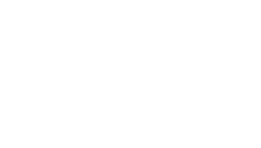 Schweine gegen Haie
