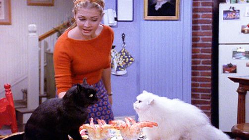 Sabrina ... total verhext! SABRINA - TOTAL VERHEXT! - 04. STAFFEL Folge 11: Salem und Juliette