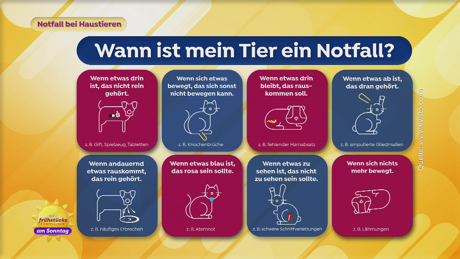 Notfall bei Haustieren