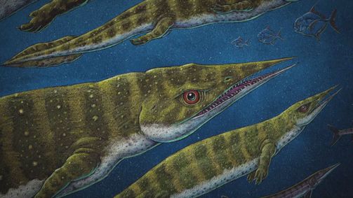 Das Alaska Dreieck Das Alaska Dreieck Folge 3: Das Rätsel der Meeresdinosaurier