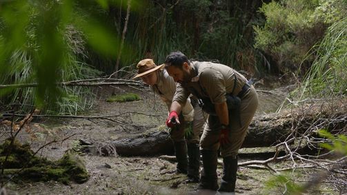 Der tasmanische Tiger: Die Legende lebt Der tasmanische Tiger: Die Legende lebt Folge 1: Tigermania