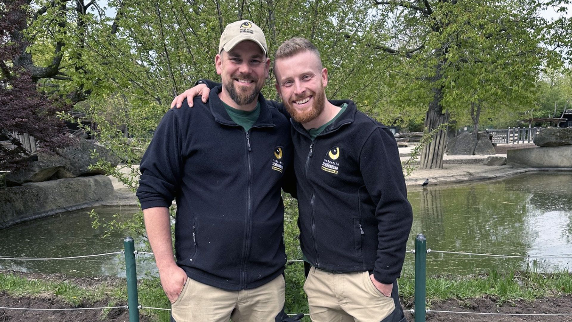Nashorntraining – Tierpfleger im Tiergarten Schönbrunn