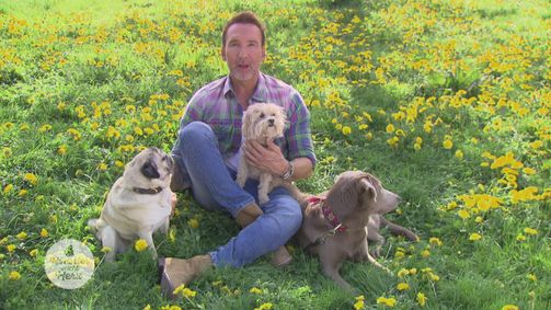 Haustier sucht Herz Staffel 2 Folge 5: Folge 5