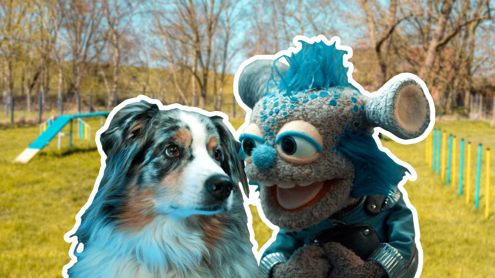 Hol das Stöckchen, Hubble!