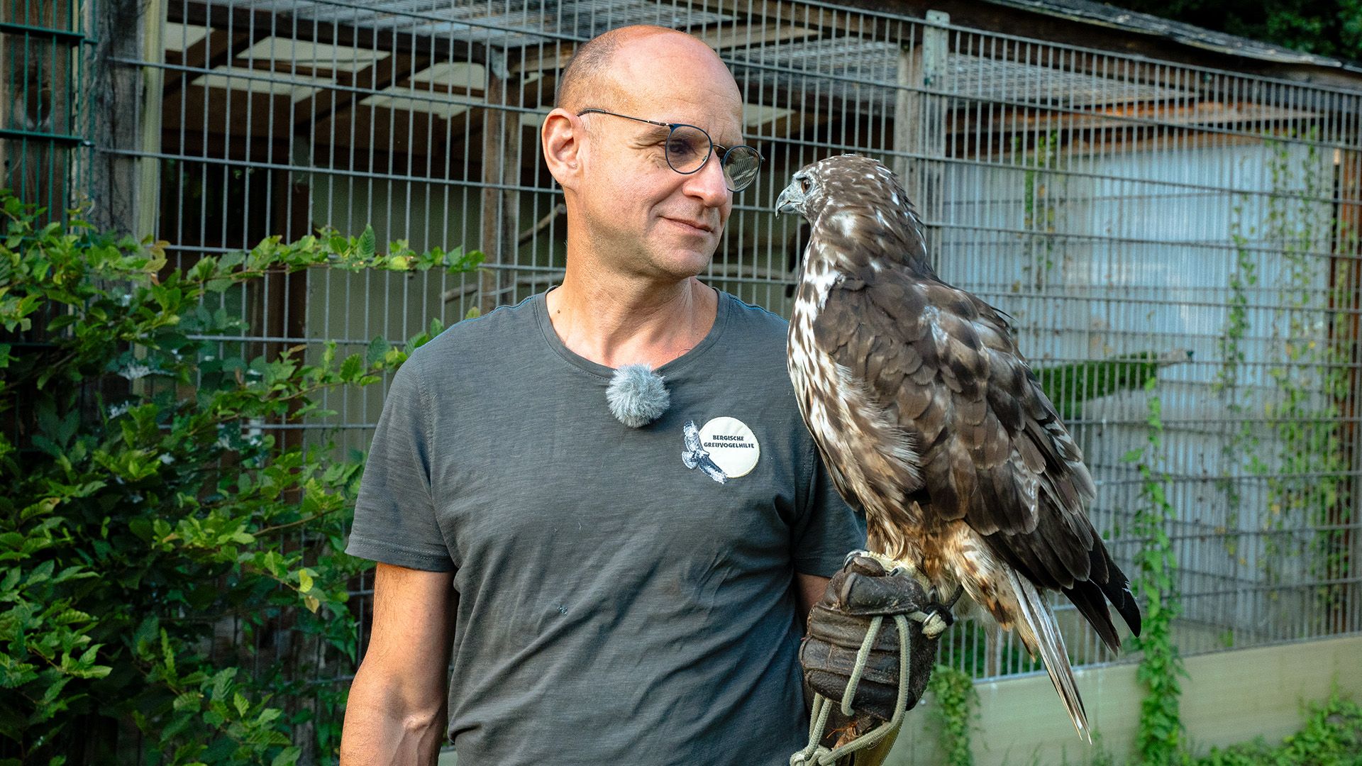 Themen u. a.: Neue Eltern für Turmfalkenküken - bergische Greifvogelhilfe
