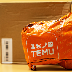 Geht es Temu jetzt an den Kragen?