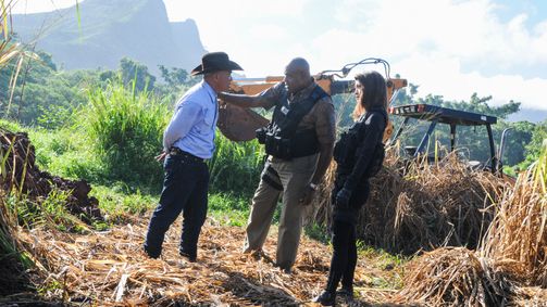 Hawaii Five-0 Hawaii Five-0 Folge 9: Ein Cowboy auf dem Mars