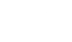 Phase 4