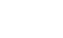 The Voice Stories