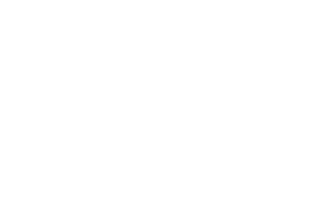 The Voice Stories