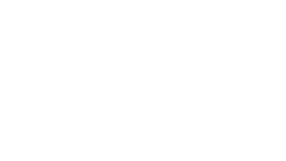 111 grandiose Genies!