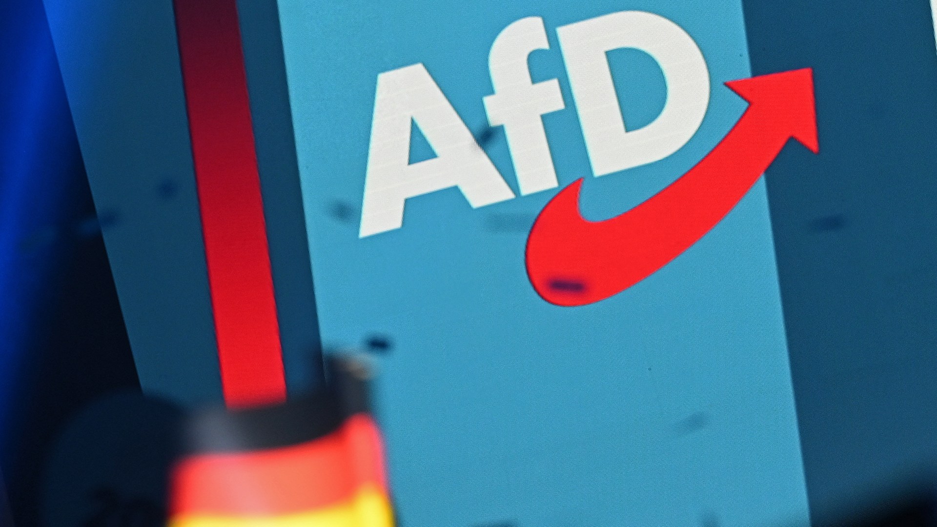 Sachsen-Anhalt: AfD hofft auf absolute Mehrheit