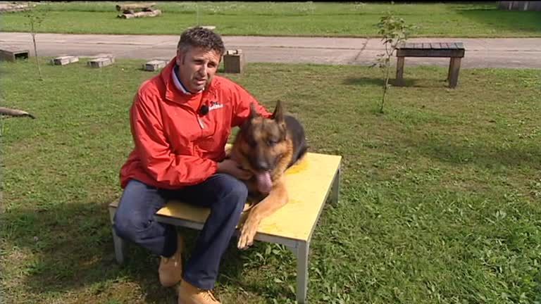 ATV Die Reportage - Tierpsychologen