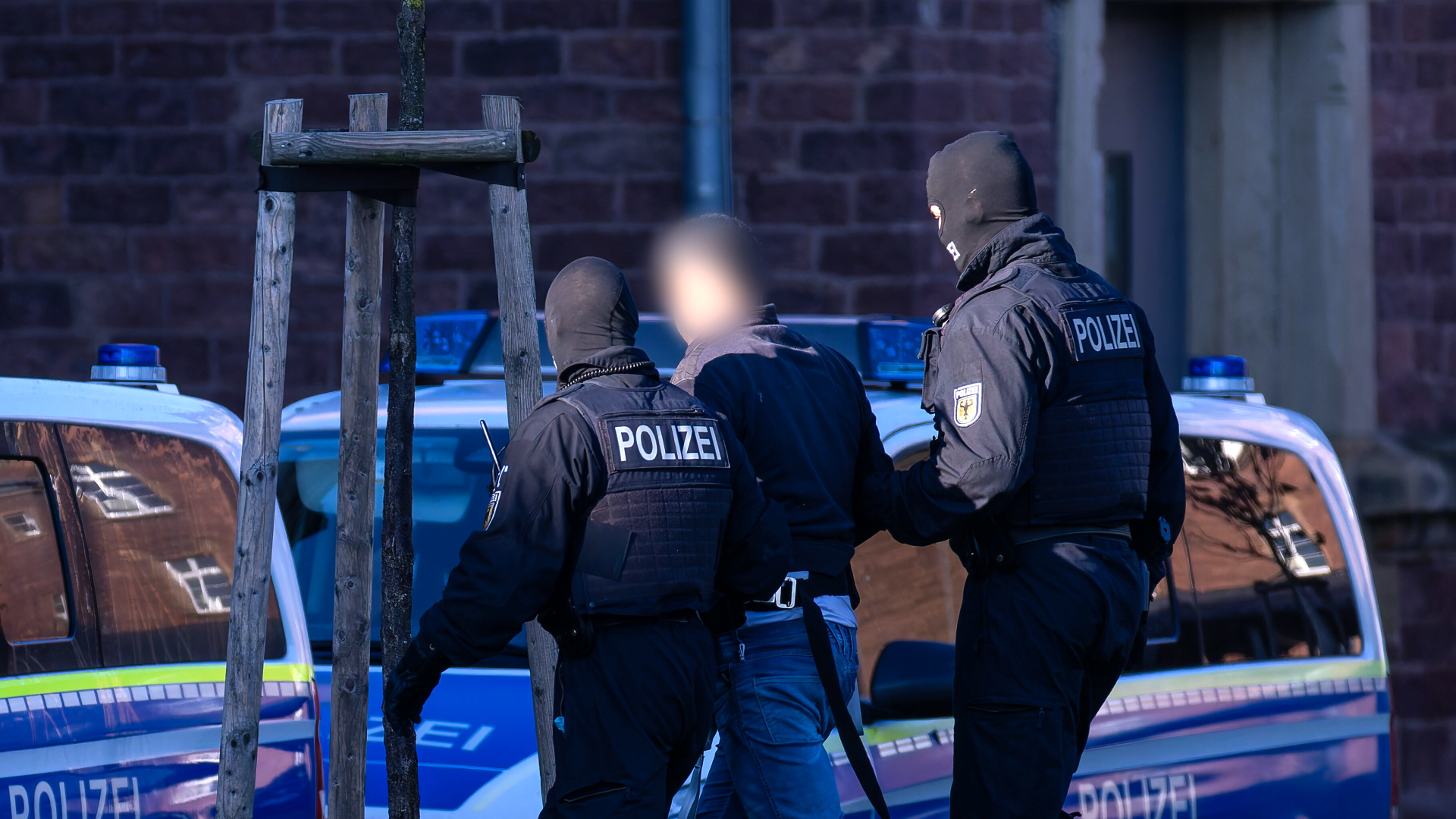 Passentzug für kriminelle Doppelstaatler?