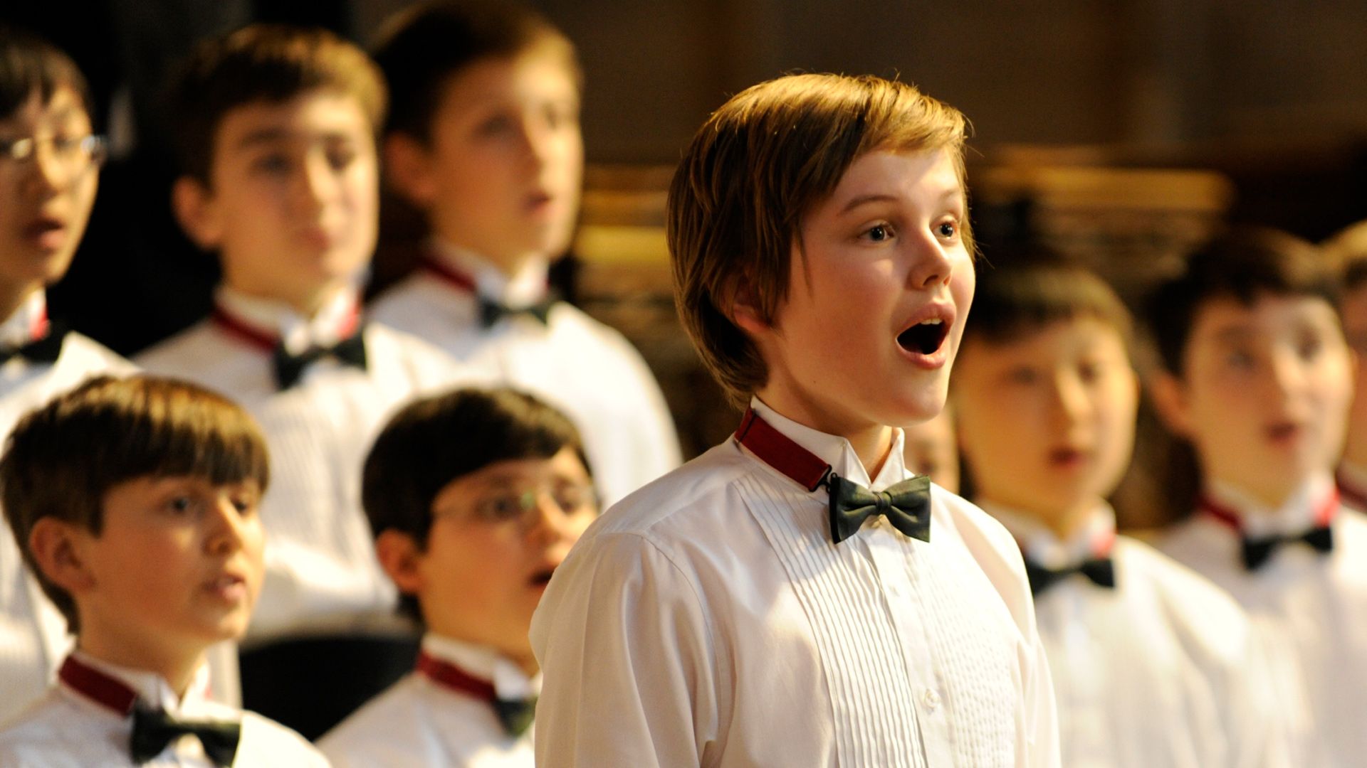 Der Chor - Stimmen des Herzens