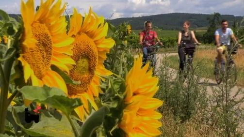 Bauer sucht Frau Bauer sucht Frau - Staffel 12 Folge 14: Bauer sucht Frau Staffel 12 Folge 14 - Die Hofwochen