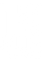 Das 1% Quiz - Wie clever ist Deutschland?