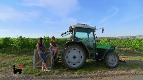 Bauer sucht Frau Bauer sucht Frau - Staffel 17 Folge 11: Bauer sucht Frau - Staffel 17 Folge 11 - Die Hofwochen