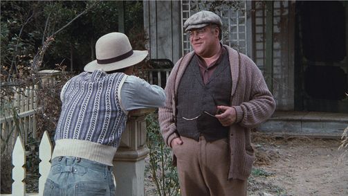 Die Waltons Die Waltons Folge 11: Der Schriftsteller