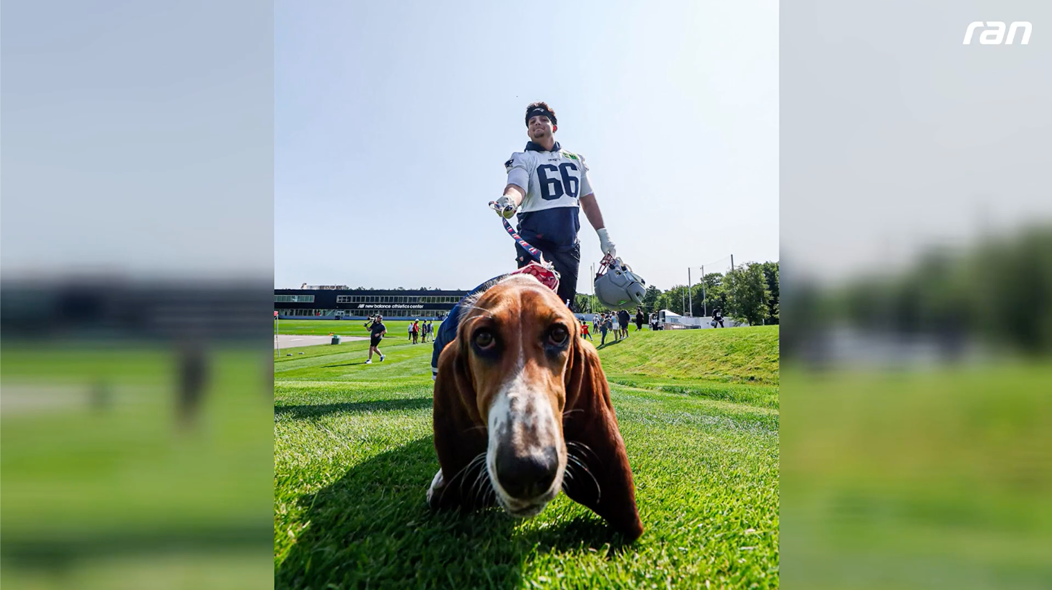 NFL: Patriots feiern "Pawtriots Day" für den guten Zweck