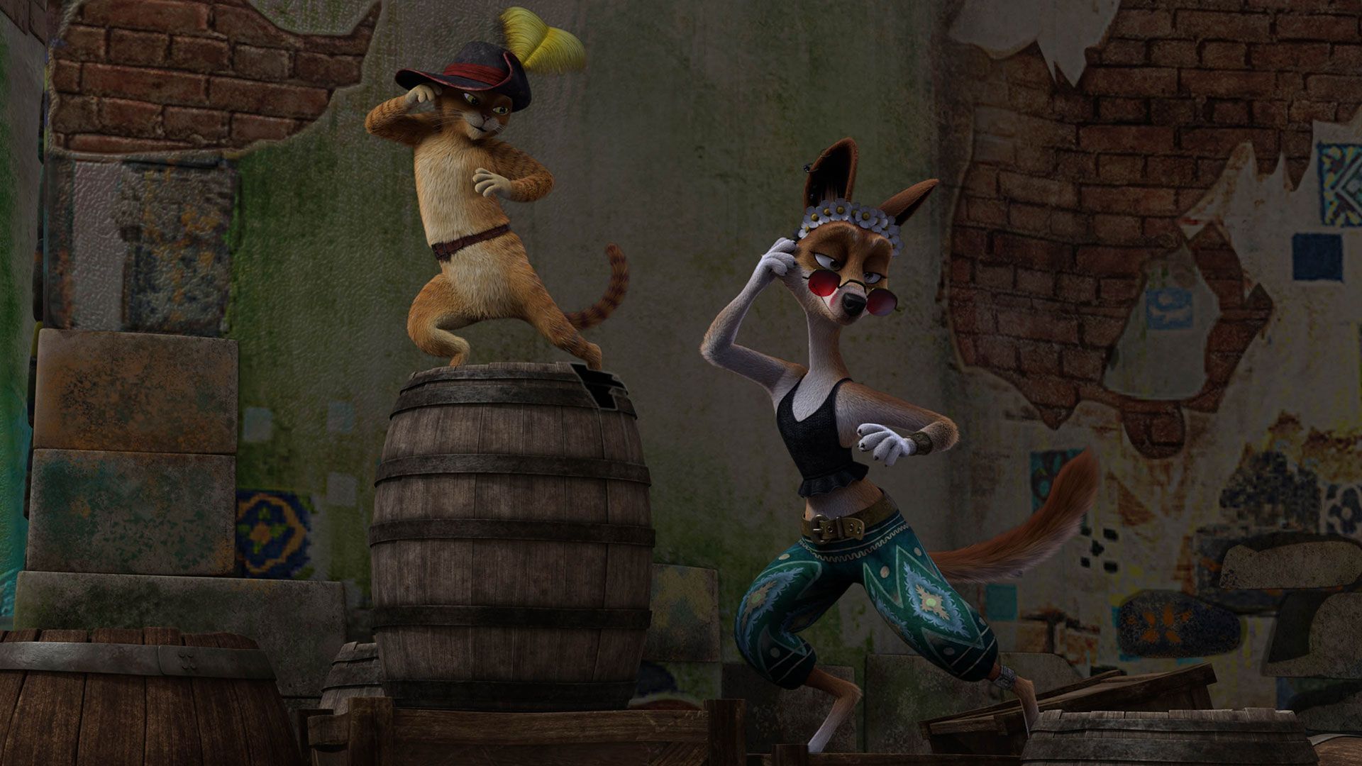Der tanzende Dingo