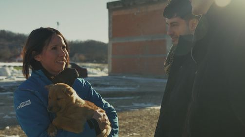 How to kill a Puppy & get rich: Die Hunde-Mafia How to kill a Puppy & get rich: Die Hunde-Mafia Folge 5: Die Informanten