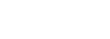 BraveStarr