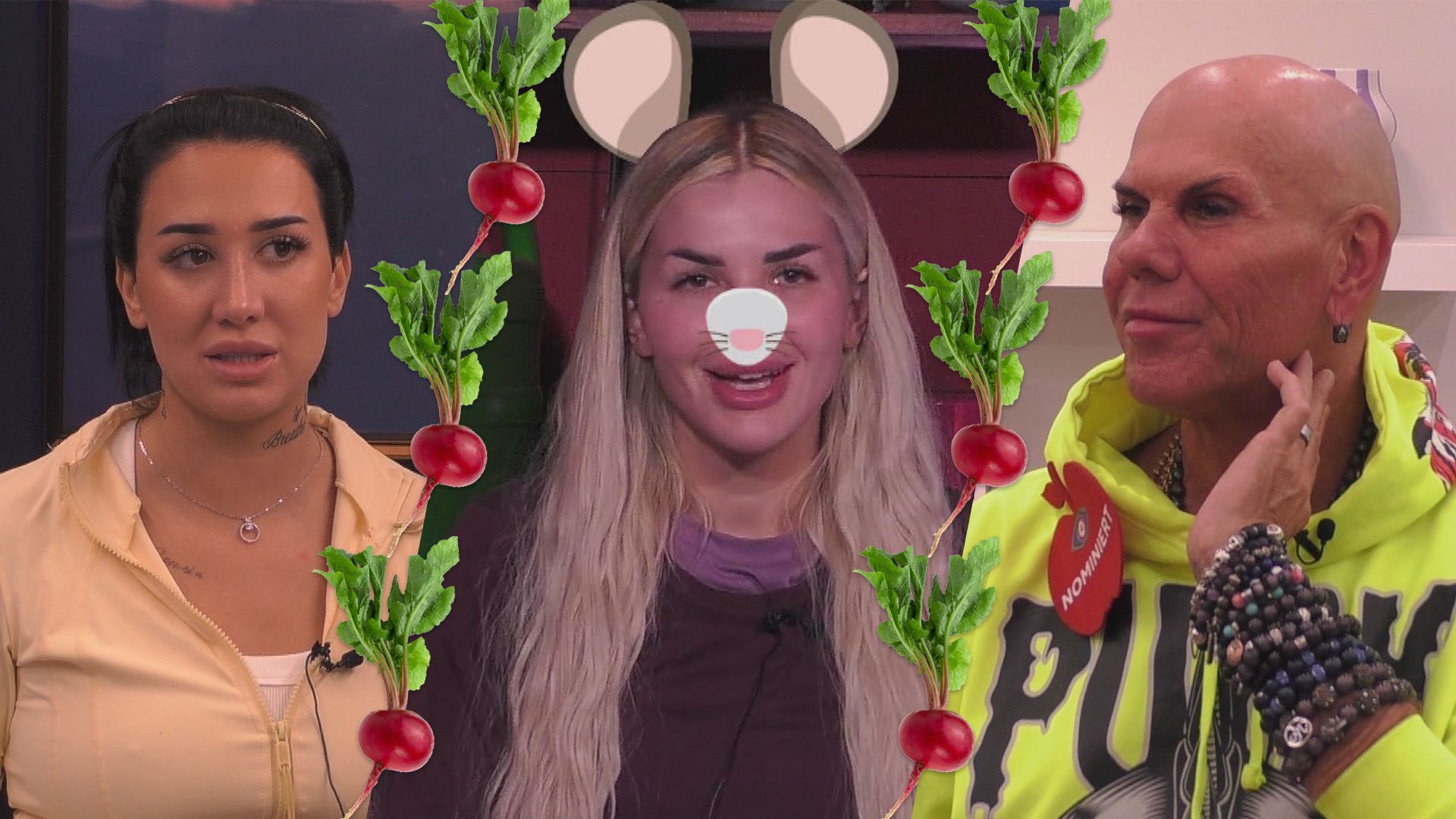 Tag 4: Monogam und misstrauisch: Francesca Morgese hat Kim Virginia im Visier