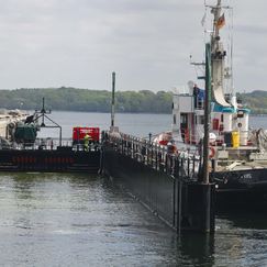 Beteiligte: So kam Timmy aus der Barge