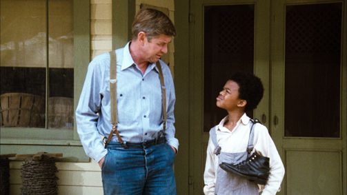 Die Waltons WALTONS, DIE - 06 Folge 2: Der Waisenjunge