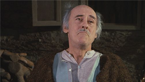 Die Waltons Die Waltons Folge 20: Verzweiflungstat