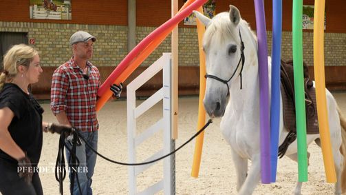 Der Pferdetrainer - Verstehen. Vertrauen. Verbinden. Der Pferdetrainer - Verstehen. Vertrauen. Verbinden. Folge 2: Pferdeverhalten verstehen: Heute gibt es Expertentipps für die Besitzer