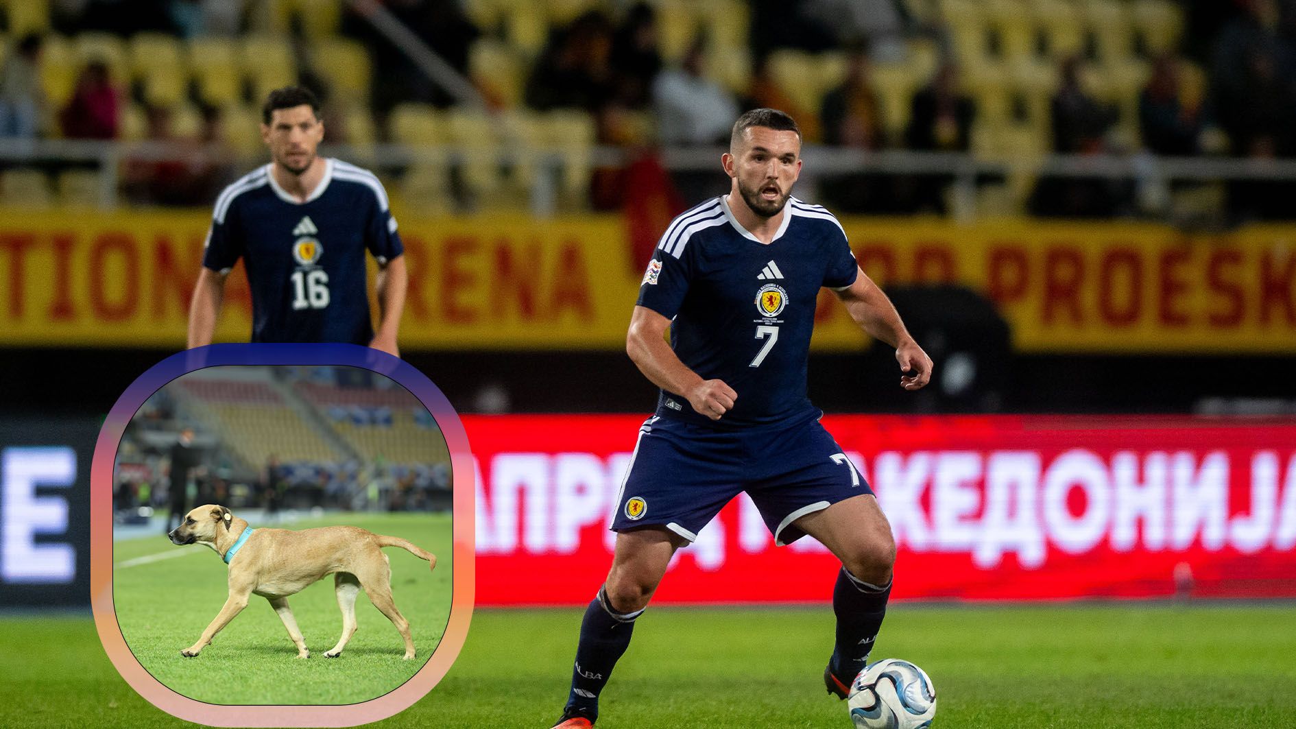 Nations League: Dieser ungewöhnliche Flitzer sorgt für Aufsehen