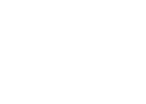Mimic 2