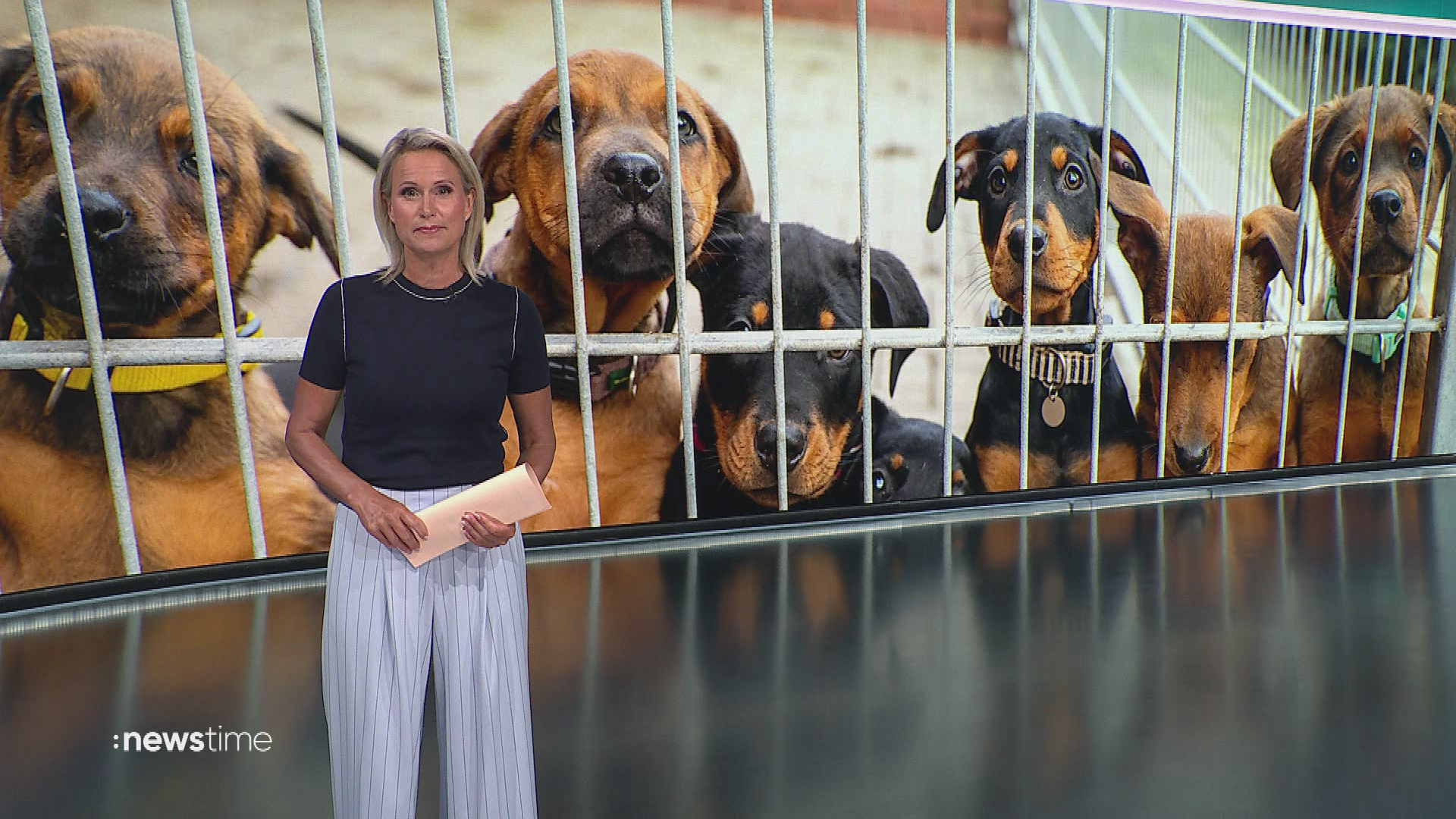 :newstime vom 4. August 2026 | 19:45