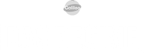 Das Regime