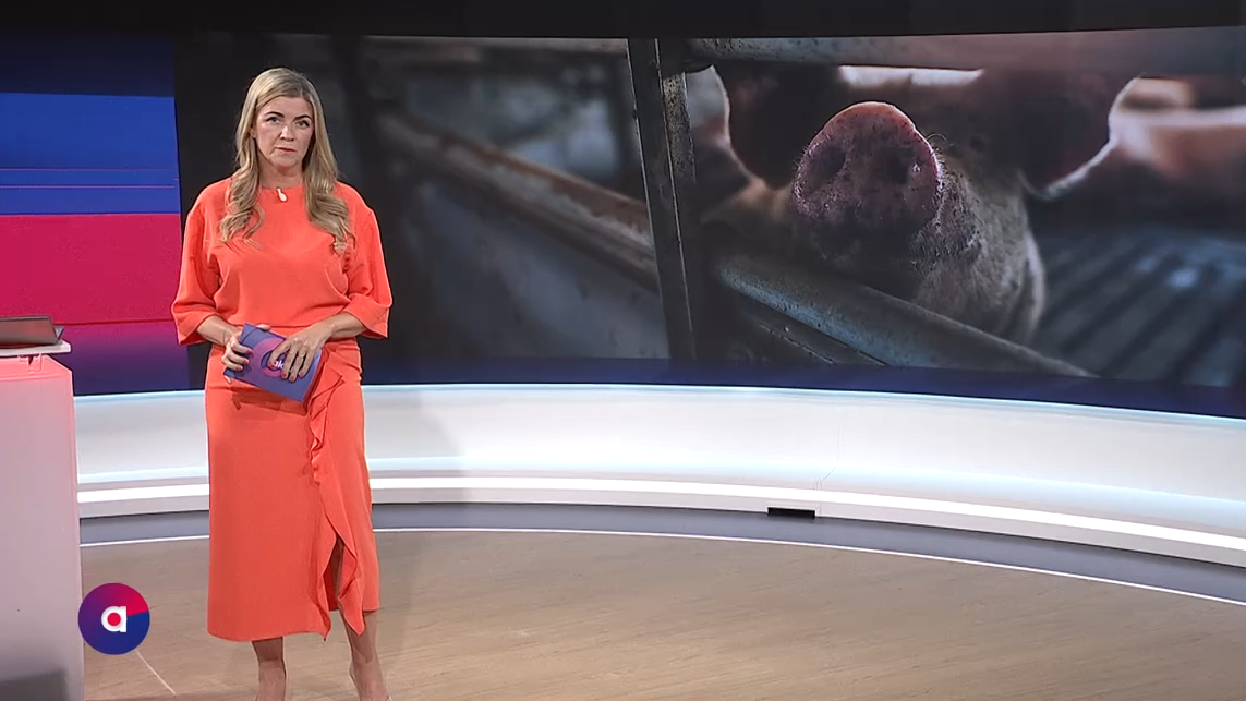 ATV Aktuell vom 11.08.2026
